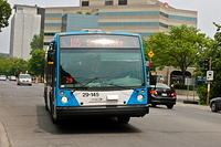 STM 29-145