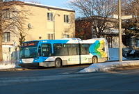 STM 30-223