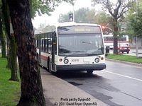20310