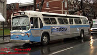 FHTCQ-33008-17112010-01