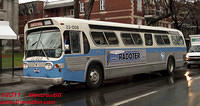 FHTCQ-33008-17112010-02