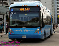 VIVA-8210-25082011-01
