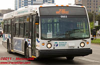 STLE-0803-16062011-01