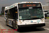 STLE-0901-16062011-03