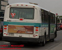 STLE-9193-16062011-03