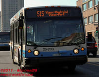 STM-25203-03062011-01
