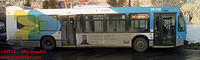 STM-29128-30122010-01