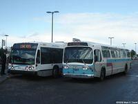 STO 7901 (66)