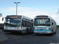 STO 7901 (68)