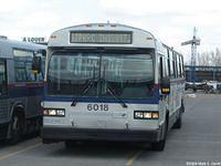 STL 6018 (66)