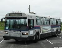 STL 6405 (21)