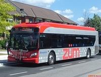 Zum Buses