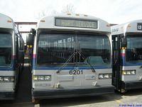 STL 6201 (3)