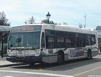 STTR 1101 (1)