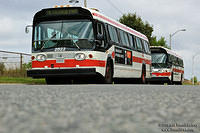 ttcnewlookcharter2