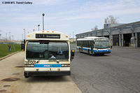 DSC_6161.jpg