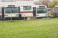 DSC_6572.jpg