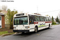 DSC_6576.jpg