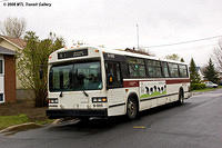 DSC_6577.jpg