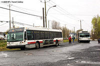 DSC_6596.jpg