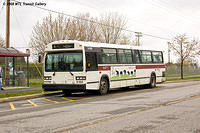 DSC_6670.jpg