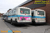 IMG_1593_©Copyrighted.jpg