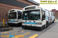 IMG_1596_©Copyrighted.jpg