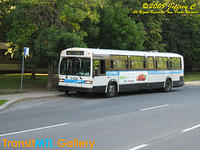 IMG_8385_©Copyrighted.jpg