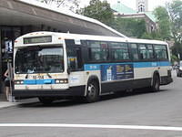 IMG 1042