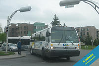 CITCRC-43603