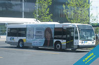 CITCRC-56901