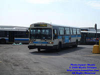 STM-59005-042608-54.jpg