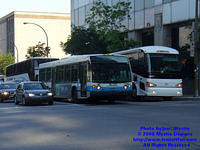 CITSO-8007-062308-01.jpg
