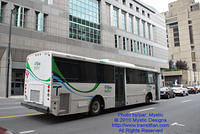 CITR-688223-081910-02