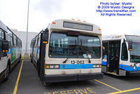 STM-13063-053109-02.jpg