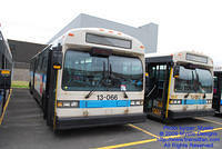STM-13066-053109-01.jpg