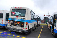 STM-14011-053109-01.jpg