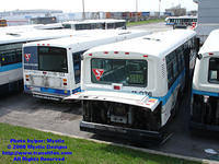 STM-11036-042608-03.jpg
