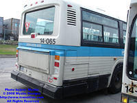 STM-14065-042608-03.jpg