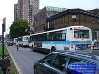 STM-11037-073108-02.jpg