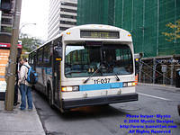 STM-11037-101308-01.jpg