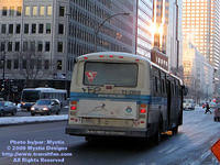 STM-11068-012009-03.jpg
