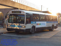 STM-15052-111809-03.jpg
