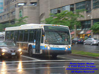 STM-17010-071308-01.jpg