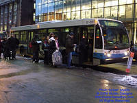STM-17021-121409-01.jpg