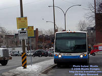 STM-17034-021609-01.jpg