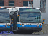 STM-17036-091309-01.jpg