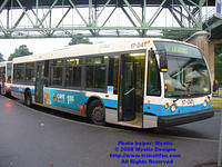 STM-17041-062808-04.jpg