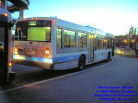 STM-17045-070206-01.jpg
