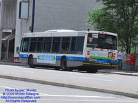 STM-17045-070509-02.jpg